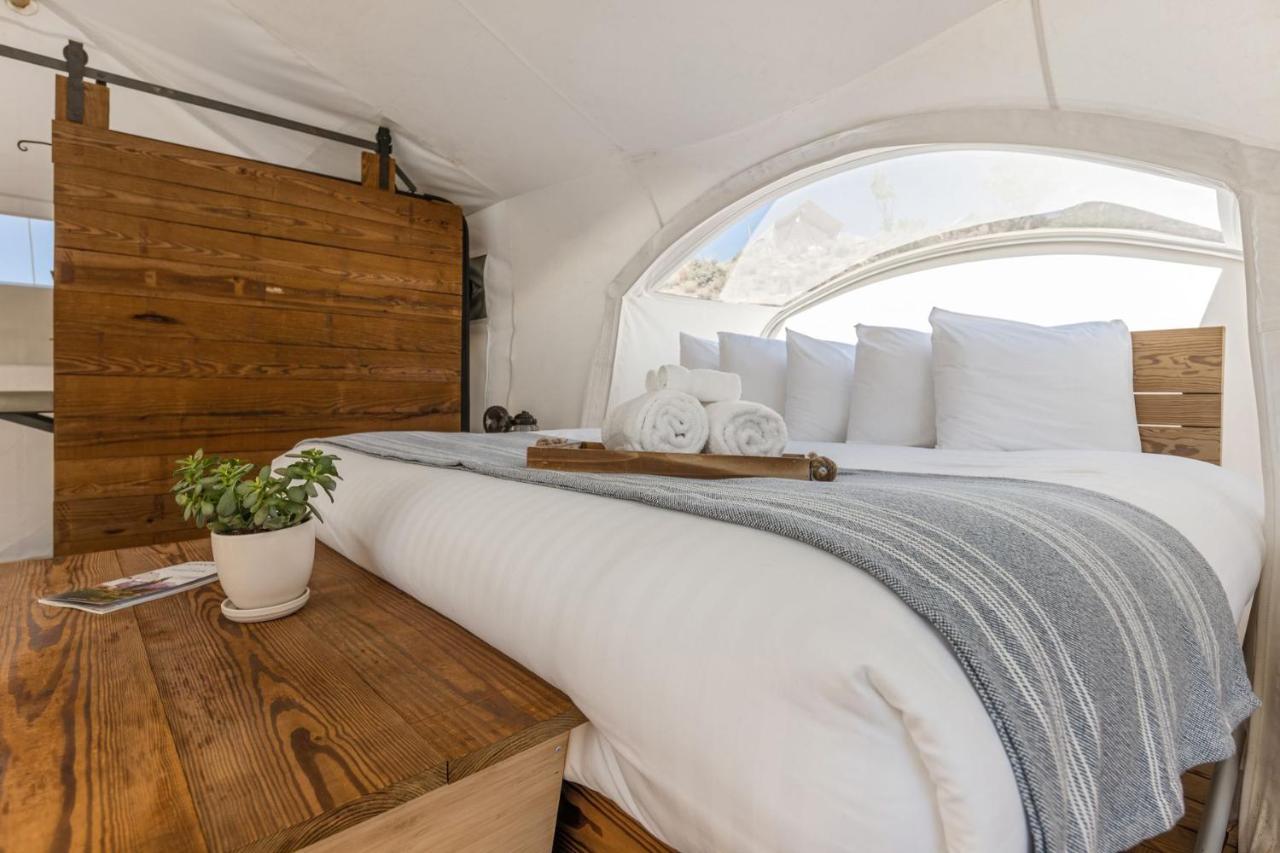 Under Canvas Zion Virgin Bagian luar foto
